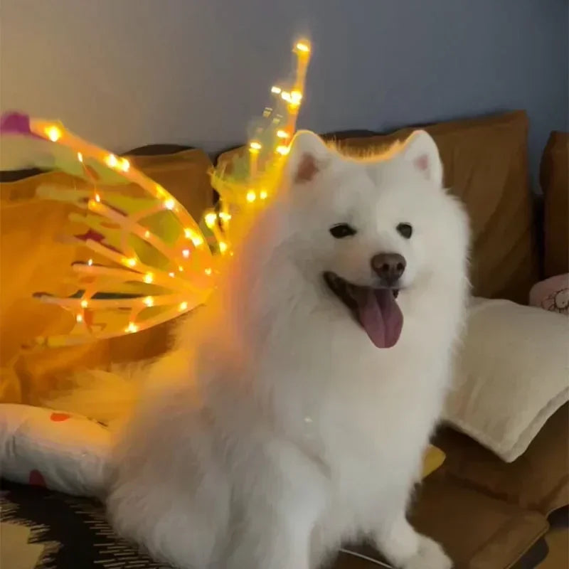 Dog Butterfly Wings Pet Glowing Wings Puppy Summer Clothes Decorative Samoyed Husky Medium Dogs