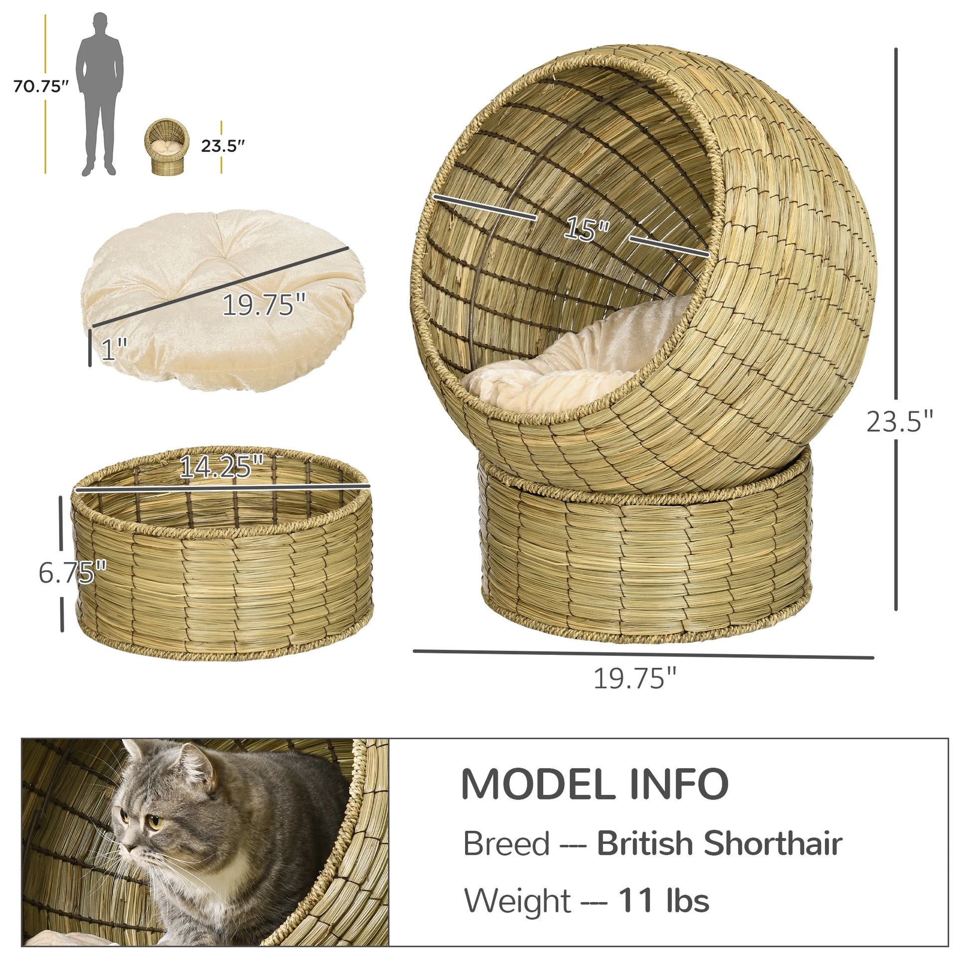 Elevated Cat Bed W/ Cat Egg Chair Shape, Raised Wicker Cat Bed