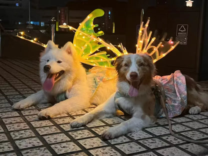 Dog Butterfly Wings Pet Glowing Wings Puppy Summer Clothes Decorative Samoyed Husky Medium Dogs